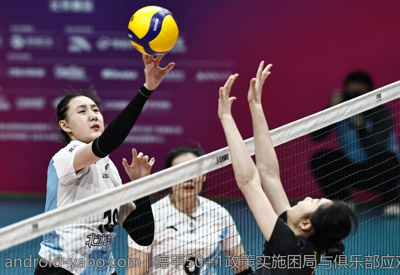 德甲50+1政策实施困局与俱乐部应对策略探讨