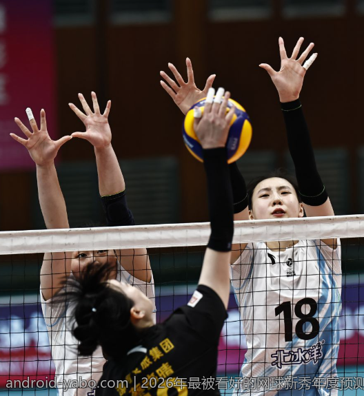 2026年最被看好的网球新秀年度预测