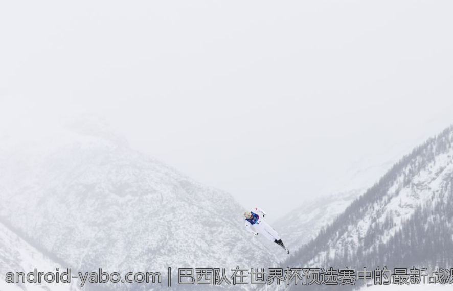 巴西队在世界杯预选赛中的最新战况解析
